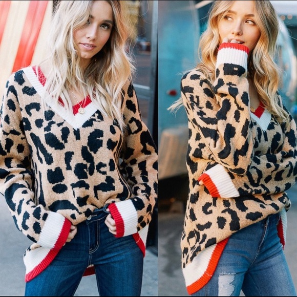 Aluna Levi Sweaters - “BE FIERCE! animal print sweater